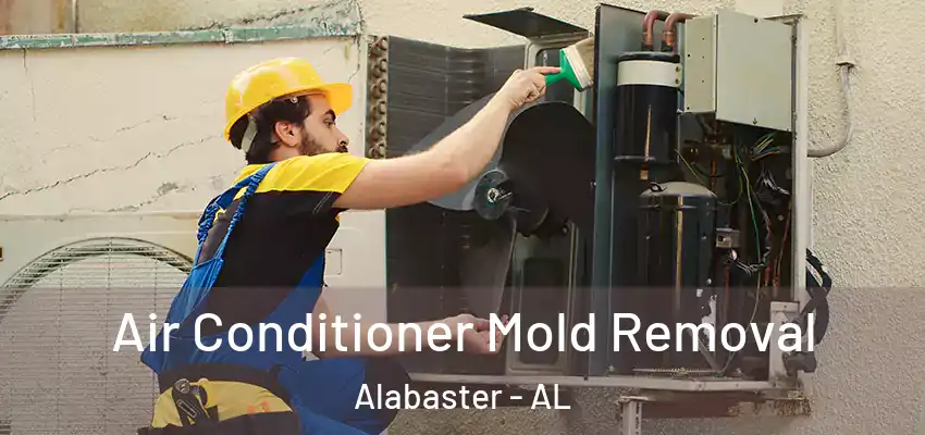 Air Conditioner Mold Removal Alabaster - AL