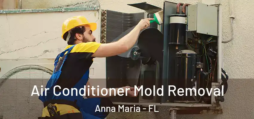  Air Conditioner Mold Removal Anna Maria - FL
