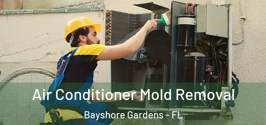  Air Conditioner Mold Removal Bayshore Gardens - FL