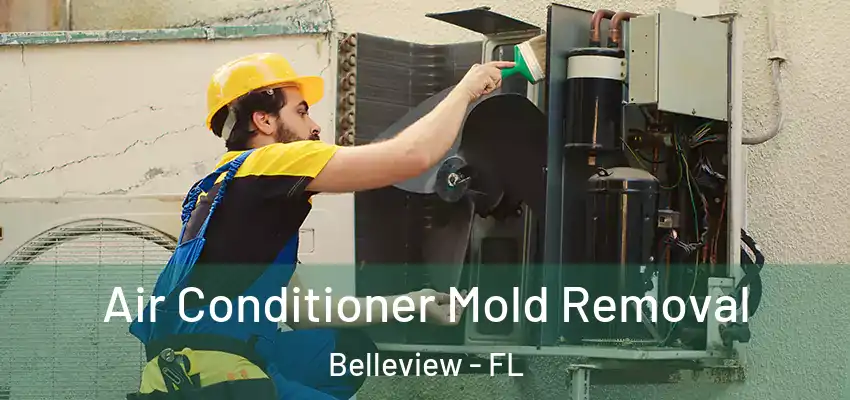 Air Conditioner Mold Removal Belleview - FL