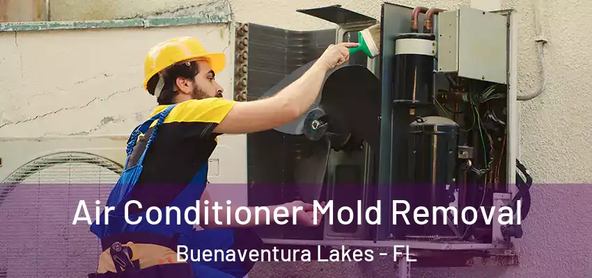 Air Conditioner Mold Removal Buenaventura Lakes - FL