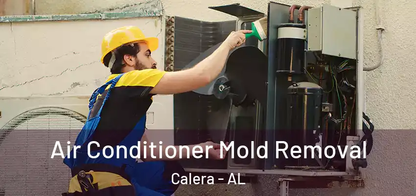 Air Conditioner Mold Removal Calera - AL