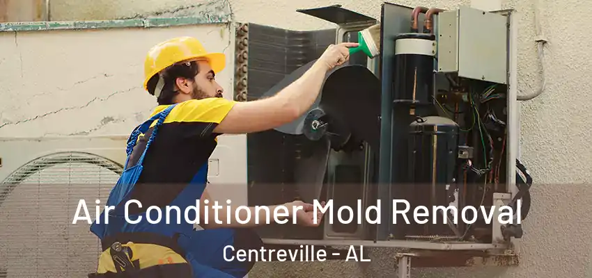  Air Conditioner Mold Removal Centreville - AL