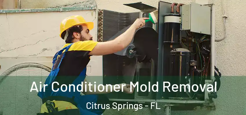  Air Conditioner Mold Removal Citrus Springs - FL