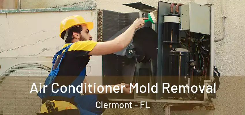 Air Conditioner Mold Removal Clermont - FL
