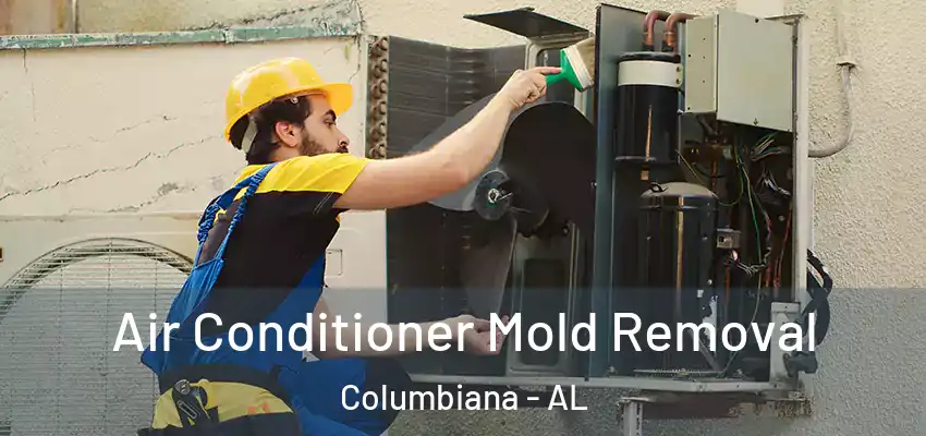  Air Conditioner Mold Removal Columbiana - AL