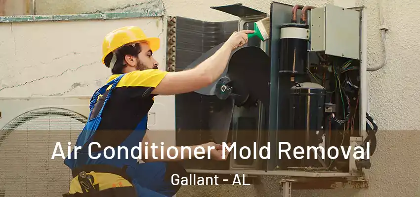 Air Conditioner Mold Removal Gallant - AL