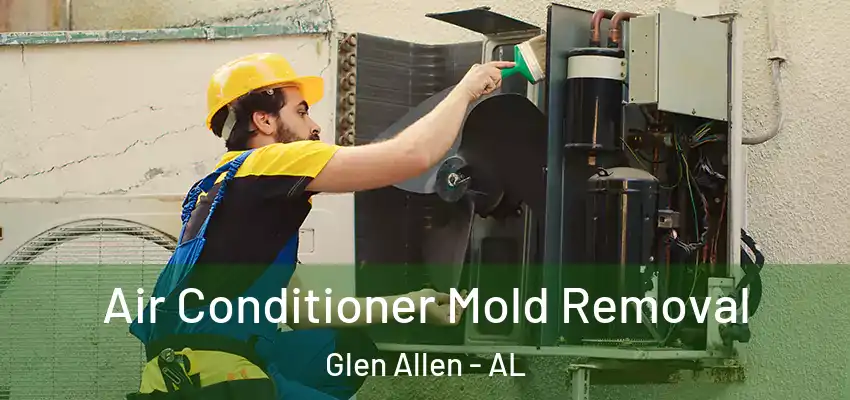  Air Conditioner Mold Removal Glen Allen - AL