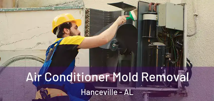  Air Conditioner Mold Removal Hanceville - AL