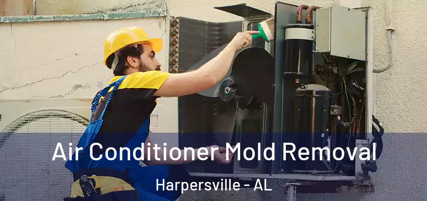 Air Conditioner Mold Removal Harpersville - AL