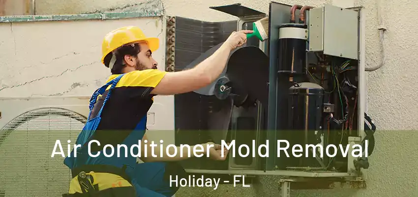 Air Conditioner Mold Removal Holiday - FL