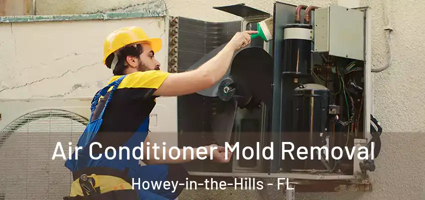 Air Conditioner Mold Removal Howey-in-the-Hills - FL