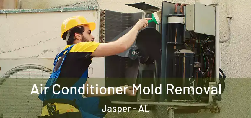  Air Conditioner Mold Removal Jasper - AL