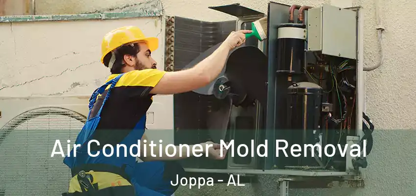 Air Conditioner Mold Removal Joppa - AL