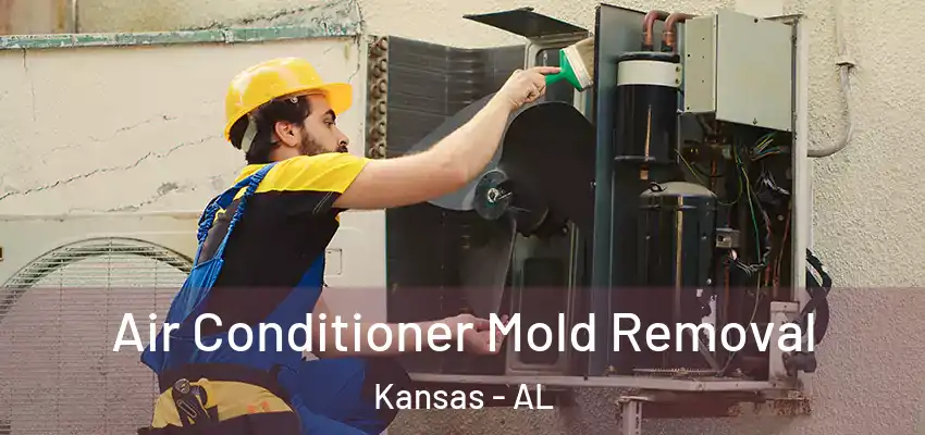 Air Conditioner Mold Removal Kansas - AL