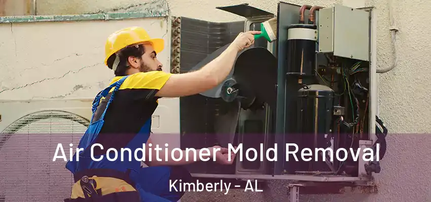  Air Conditioner Mold Removal Kimberly - AL