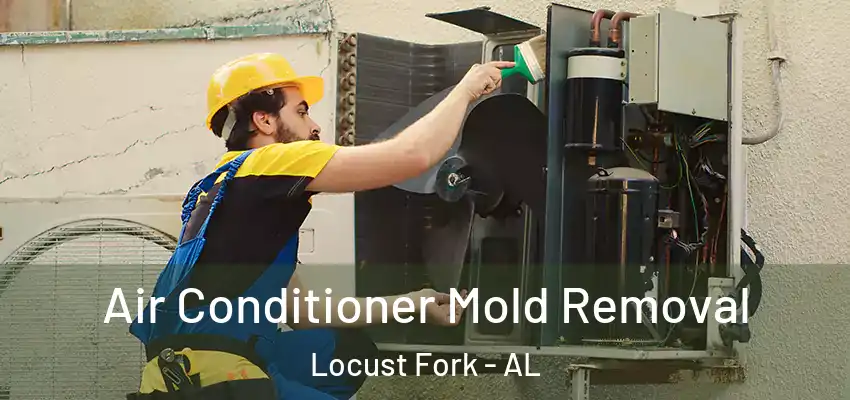  Air Conditioner Mold Removal Locust Fork - AL
