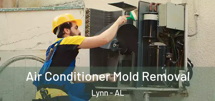 Air Conditioner Mold Removal Lynn - AL