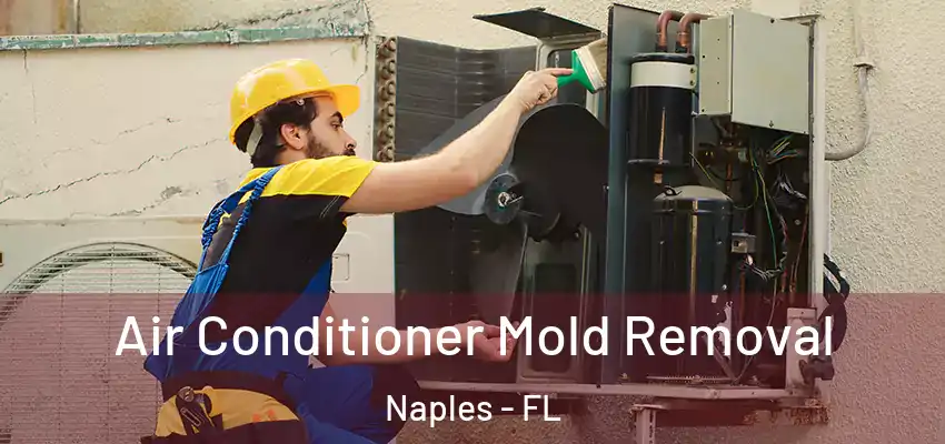 Air Conditioner Mold Removal Naples - FL