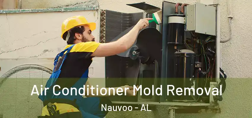 Air Conditioner Mold Removal Nauvoo - AL