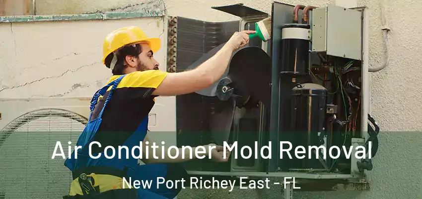 Air Conditioner Mold Removal New Port Richey East - FL