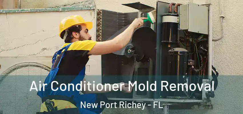 Air Conditioner Mold Removal New Port Richey - FL