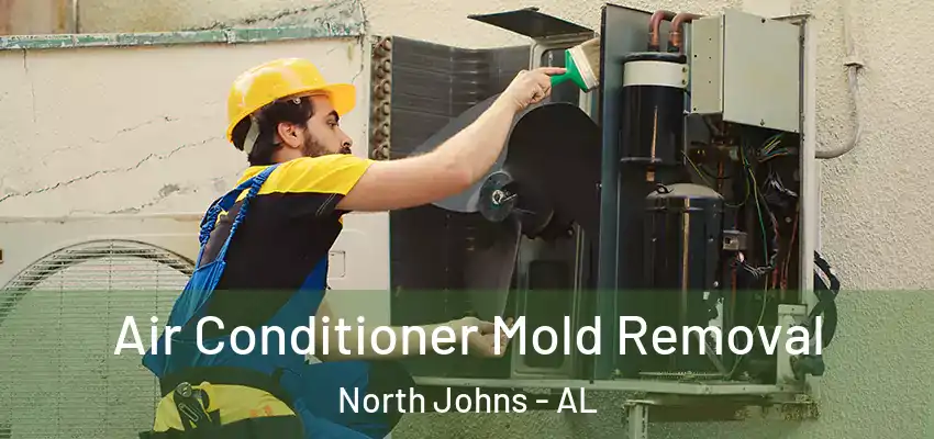 Air Conditioner Mold Removal North Johns - AL