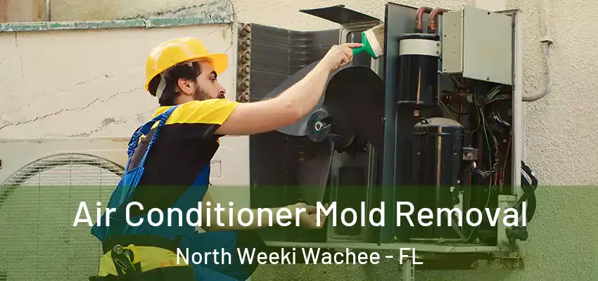  Air Conditioner Mold Removal North Weeki Wachee - FL
