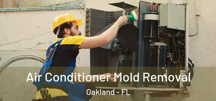 Air Conditioner Mold Removal Oakland - FL