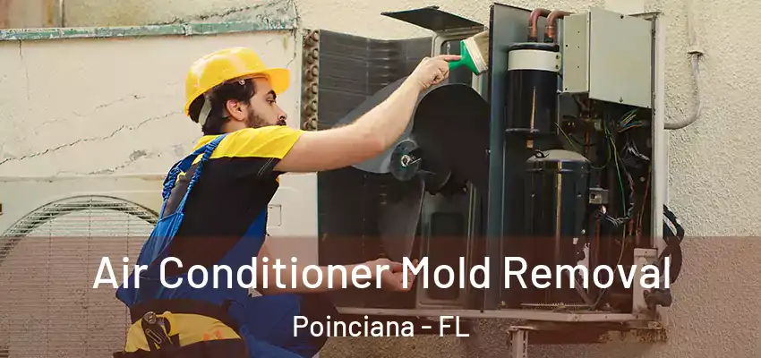  Air Conditioner Mold Removal Poinciana - FL