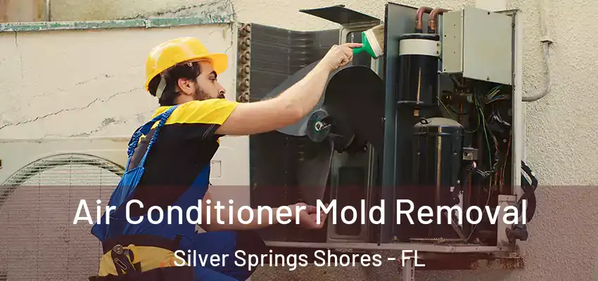 Air Conditioner Mold Removal Silver Springs Shores - FL