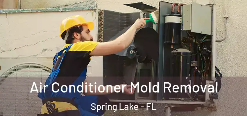  Air Conditioner Mold Removal Spring Lake - FL