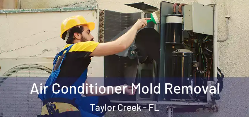  Air Conditioner Mold Removal Taylor Creek - FL