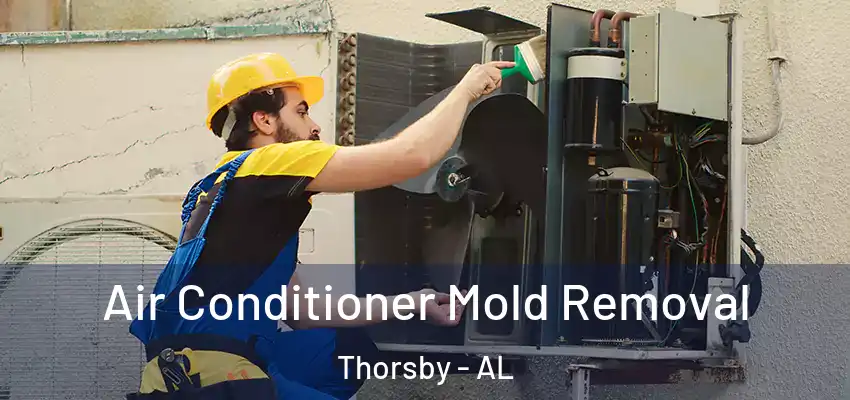  Air Conditioner Mold Removal Thorsby - AL
