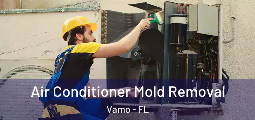 Air Conditioner Mold Removal Vamo - FL