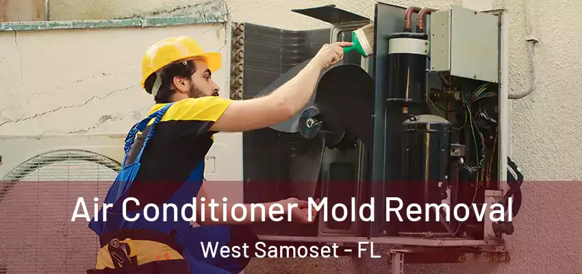  Air Conditioner Mold Removal West Samoset - FL