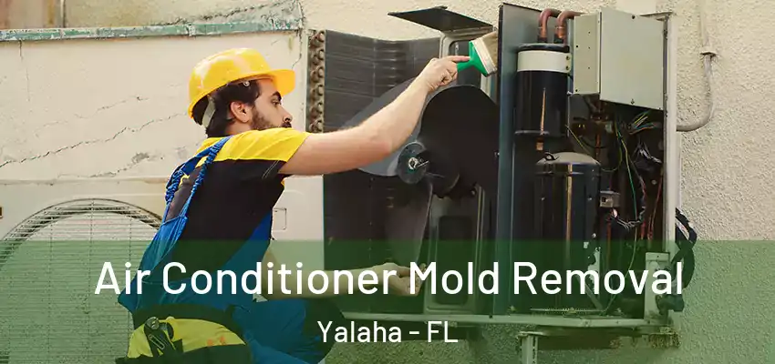 Air Conditioner Mold Removal Yalaha - FL