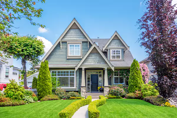 Black Mold Clean Up in Leesburg, FL