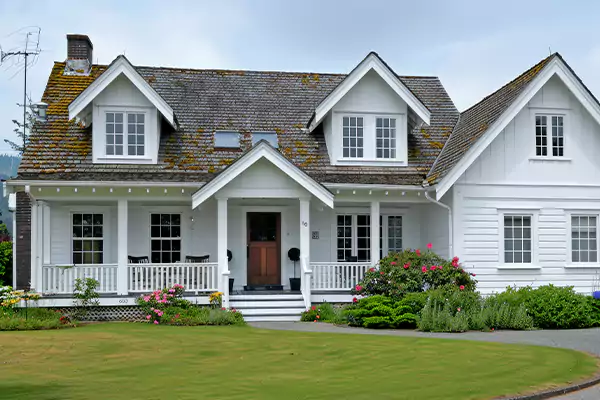 Mold Inspection Services in Leesburg, FL