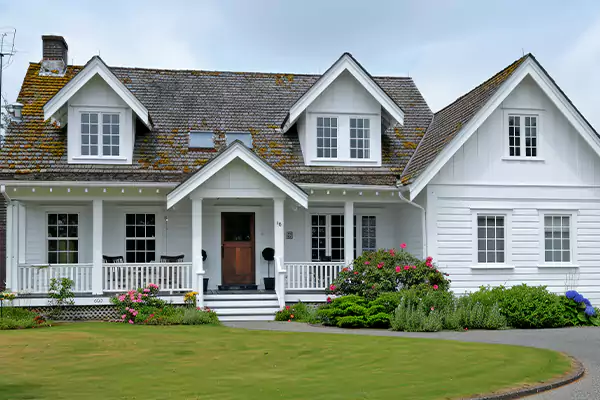 Mold Removal Services in Leesburg, FL