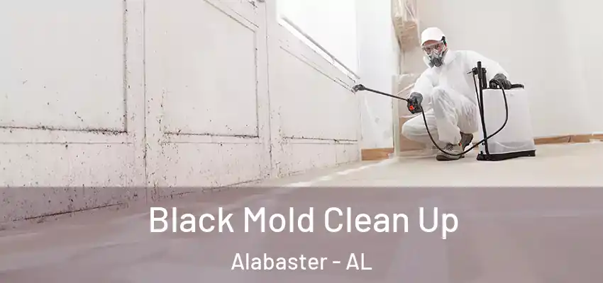  Black Mold Clean Up Alabaster - AL