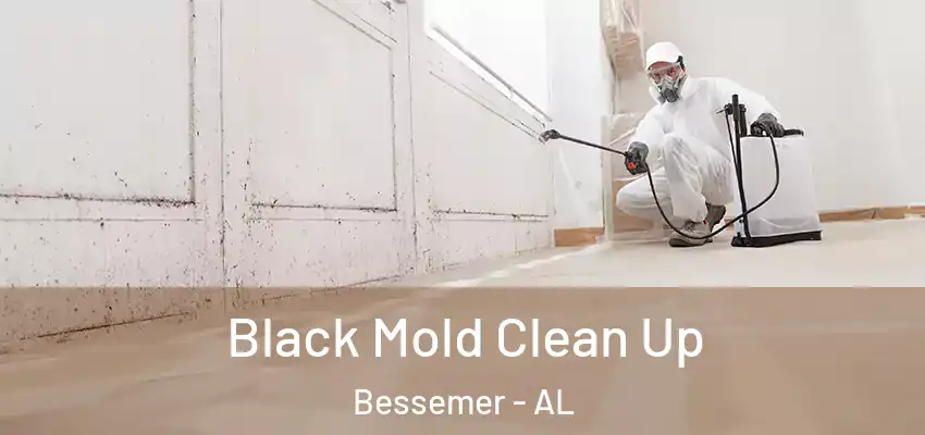  Black Mold Clean Up Bessemer - AL