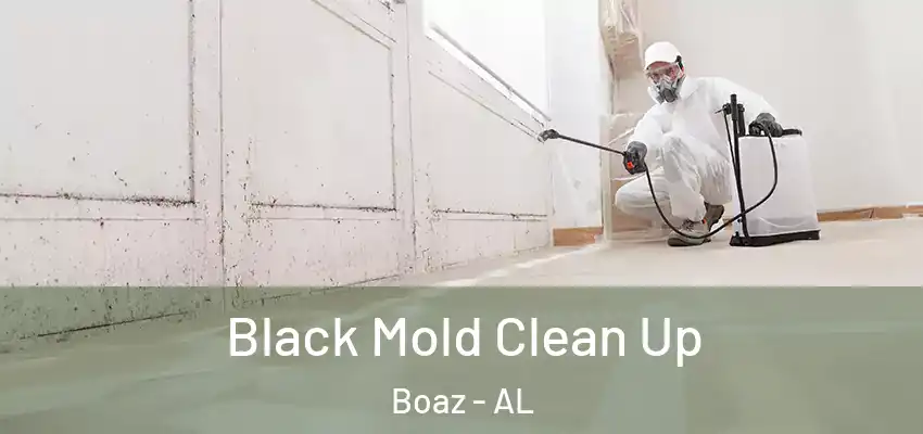Black Mold Clean Up Boaz - AL
