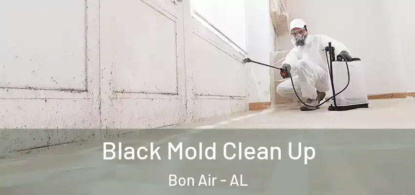  Black Mold Clean Up Bon Air - AL