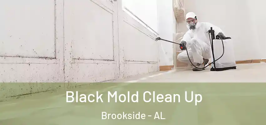 Black Mold Clean Up Brookside - AL