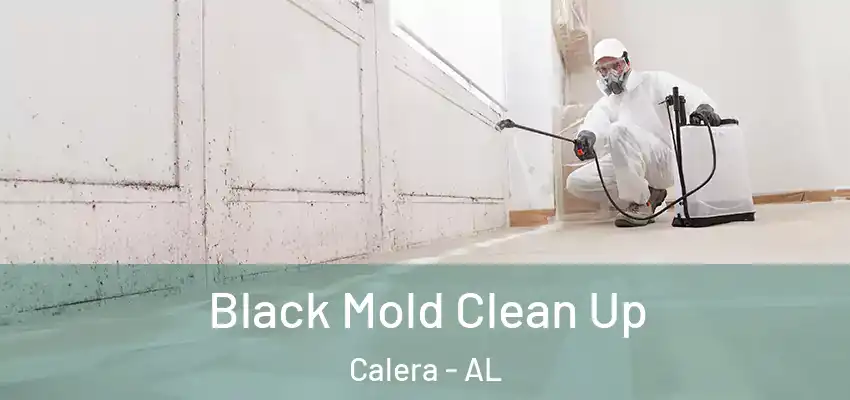 Black Mold Clean Up Calera - AL