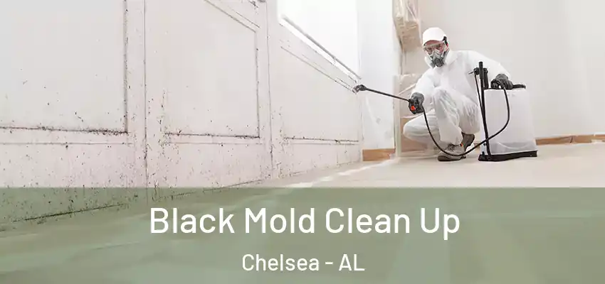  Black Mold Clean Up Chelsea - AL