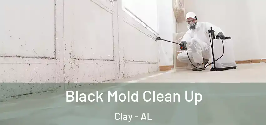 Black Mold Clean Up Clay - AL