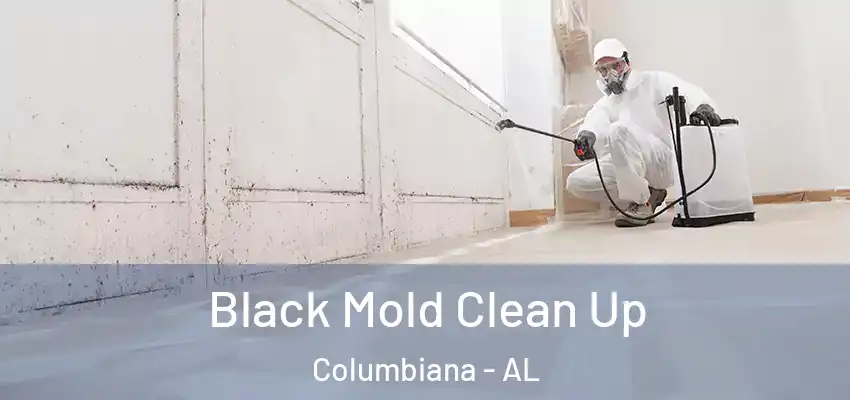  Black Mold Clean Up Columbiana - AL