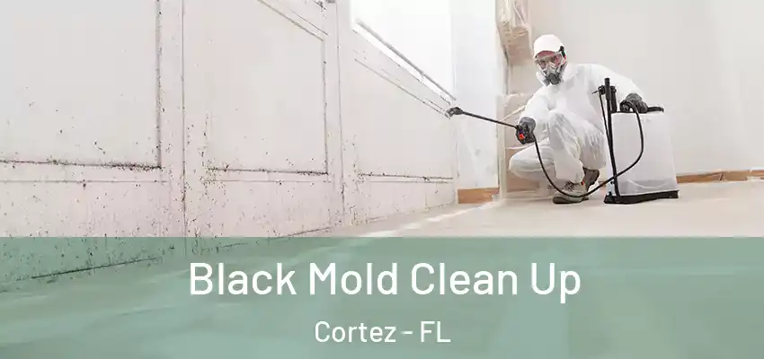  Black Mold Clean Up Cortez - FL